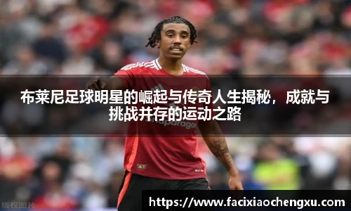 布莱尼足球明星的崛起与传奇人生揭秘，成就与挑战并存的运动之路
